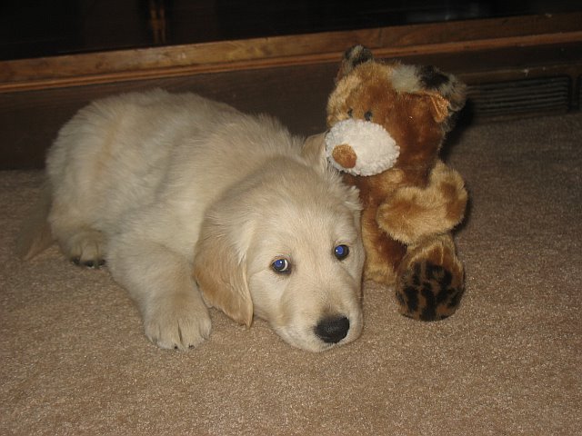 bently